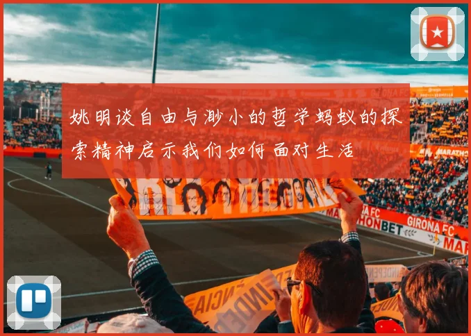 姚明谈自由与渺小的哲学蚂蚁的探索精神启示我们如何面对生活